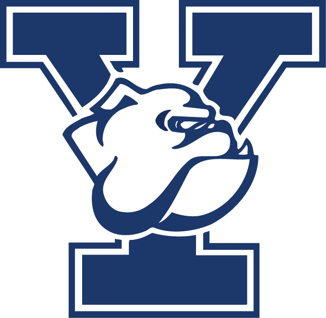 Yale Bulldogs 1998-Pres Primary Logo DIY iron on transfer (heat transfer)